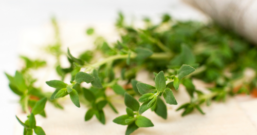 Thyme microwave cleaning hack