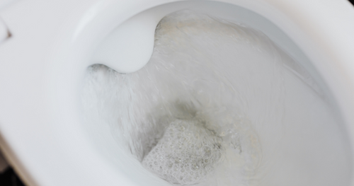 how to clean the toilet