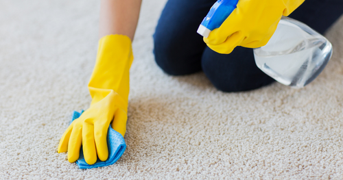 how do you clean carpet