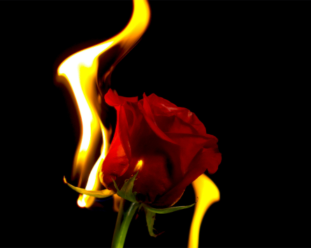 Getting out of a toxic relationship